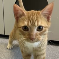 Photo of David Guetta (Bonded With Calvin Harris)