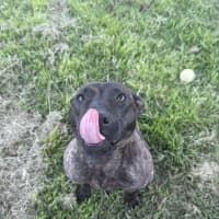 Photo of Ayla