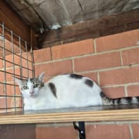 Photo of Whitney! 🌟