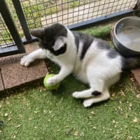 Photo of Neo