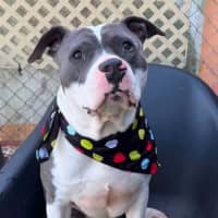 Photo of Tank