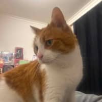 Photo of Charlie 
