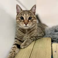 Photo of Tom Tom