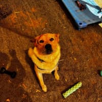 Photo of Kooch