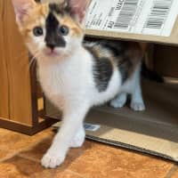 Photo of Stella Bella