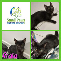 Photo of Gaia