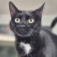Photo of Charlotte