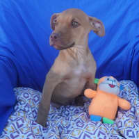 Photo of Ares