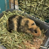 Photo of Peter & Pascal