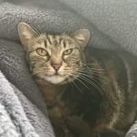 Photo of Zeus