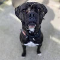 Photo of Duncan