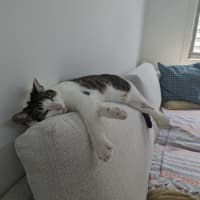 Photo of Tabitha