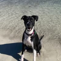 Photo of Bonnie