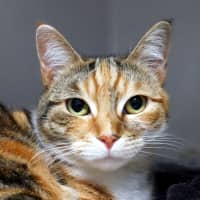 Photo of Milly Rsta014294