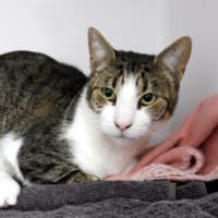 Photo of Regi Sua013863