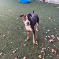 Photo of Sadie