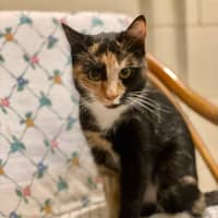 Photo of Molly