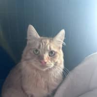 Photo of Ed