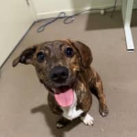 Photo of Willow Cervantes