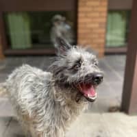 Photo of Truffles O’cleary