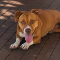 Photo of Sally