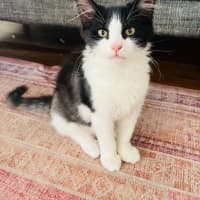 Photo of Cookie & Cream