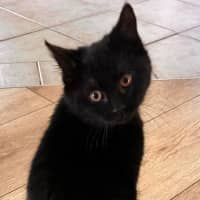 Photo of Gaia