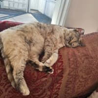 Photo of Matilda ( Tilly ) 