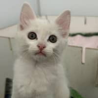 Photo of Charlie
