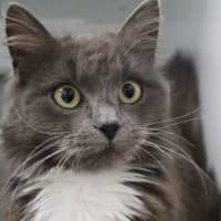 Photo of Gabby