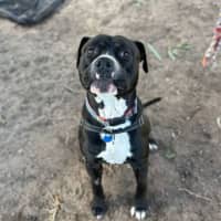 Photo of Timothy