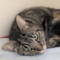 Photo of 🍧 Maisie 6301 🍧