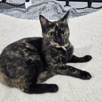 Photo of Rosie