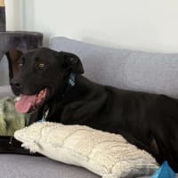 Photo of Duke