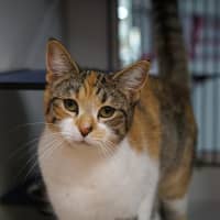 Photo of Harley