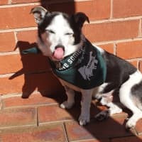 Photo of Laurie Jablonski