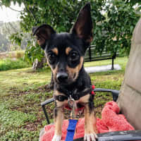 Photo of Charlie