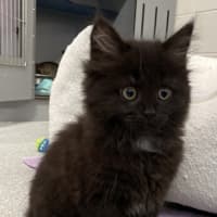 Photo of Penelope