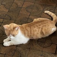 Photo of Olivia O'cleary