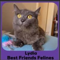 Photo of Lydia 