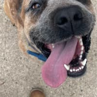 Photo of Max