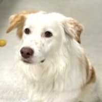 Photo of Indy