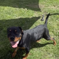 Photo of Benny Boy