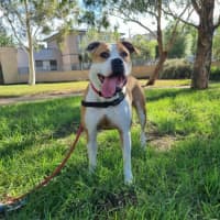 Photo of Yoko Newhaven