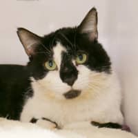 Photo of Julian Sta013075