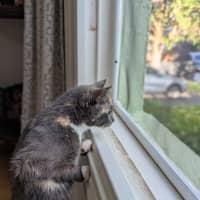 Photo of Ina (Was Georgia)