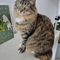 Photo of Jupiter 🩷