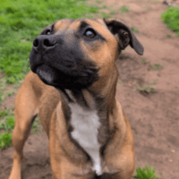 Photo of Miss. Honey