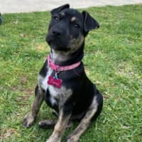 Photo of Princess Fiona