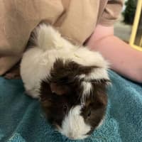 Photo of Gina & Mina